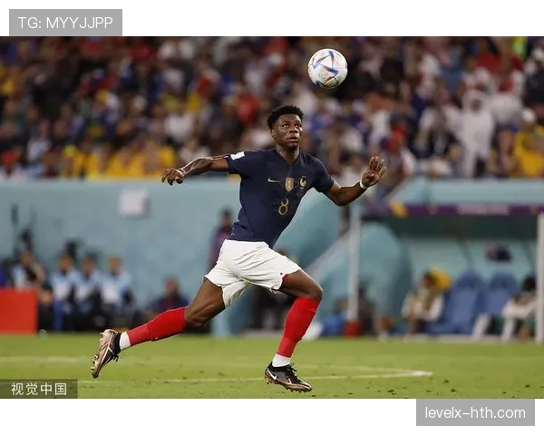 楚阿梅尼表现抢眼，助力球队整体实力显著提升