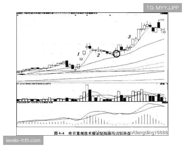 加纳能否重现2010辉煌 2026世界杯黑马潜力深度解析